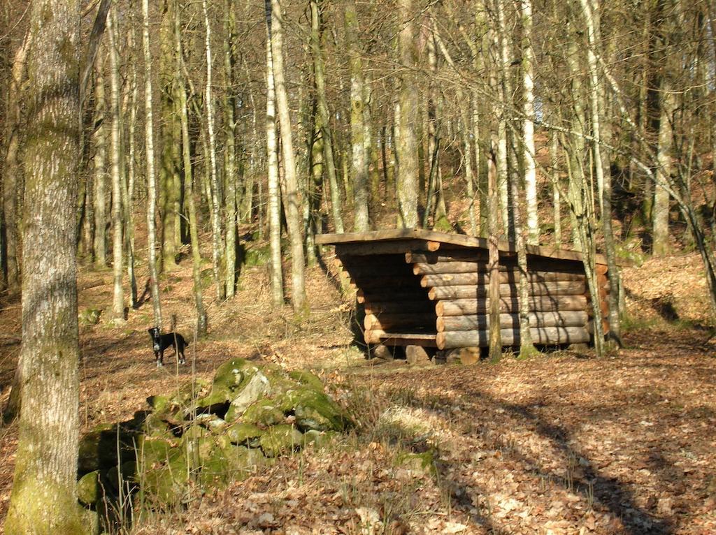 Wismens Natur & Fiske Krogsered Εξωτερικό φωτογραφία
