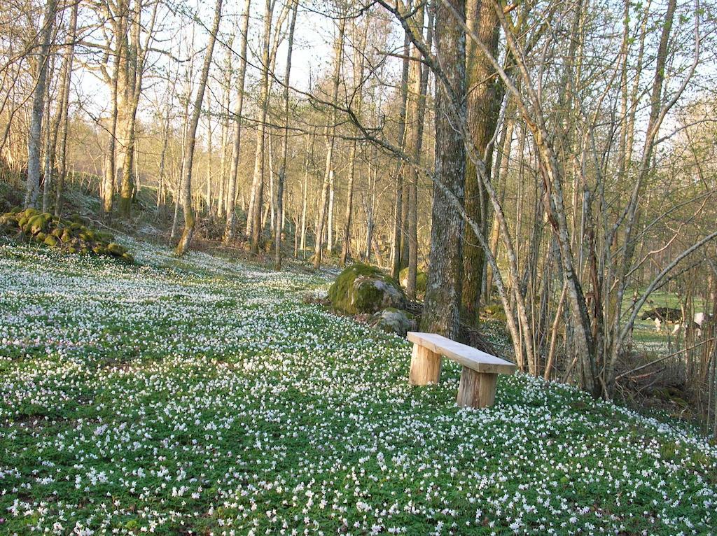 Wismens Natur & Fiske Krogsered Εξωτερικό φωτογραφία