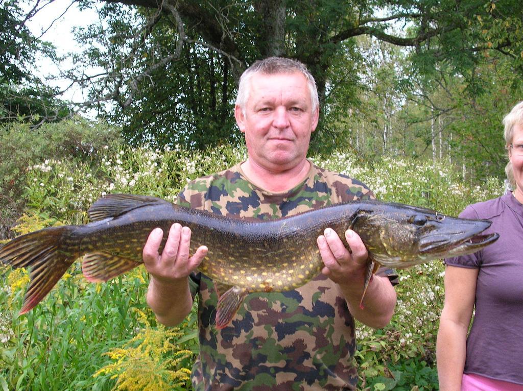 Wismens Natur & Fiske Krogsered Εξωτερικό φωτογραφία